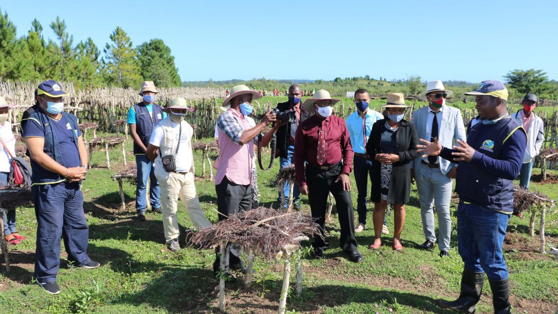 Asa Avotra mirindra ou Filet Sociaux Productifs - Manakara: Rencontre avec les familles bénéficiaires Asa Avotra mirindra ou Filet Sociaux Productifs - Manakara: Rencontre avec les familles bénéficiaires